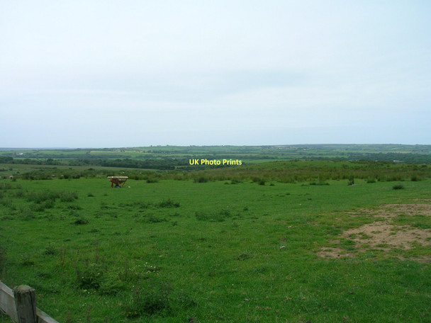 Photo 6"x4" Grazing land near Eden House Egton c2011
