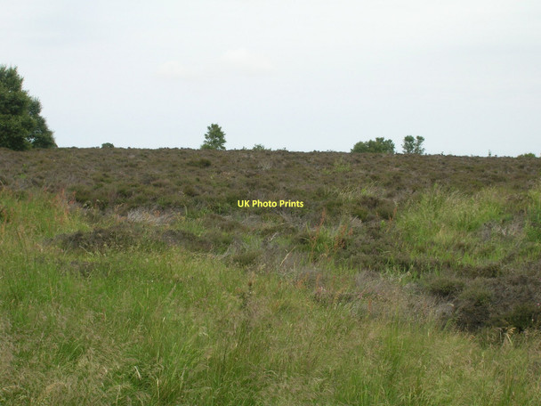 Photo 6"x4" Moorland off the A171 Stonegate\/NZ7709 c2011