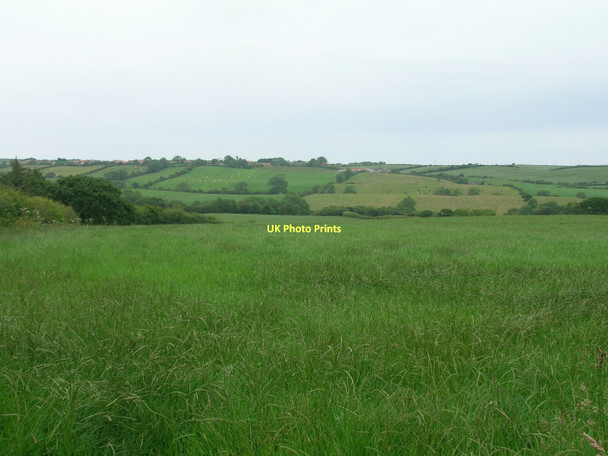 Photo 6"x4" Farmland near Primrose House Mickleby c2011