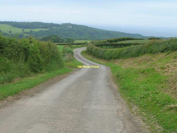 Photo 6"x4" Minor road towards Moor Leas Dunsley\/NZ8511 c2011