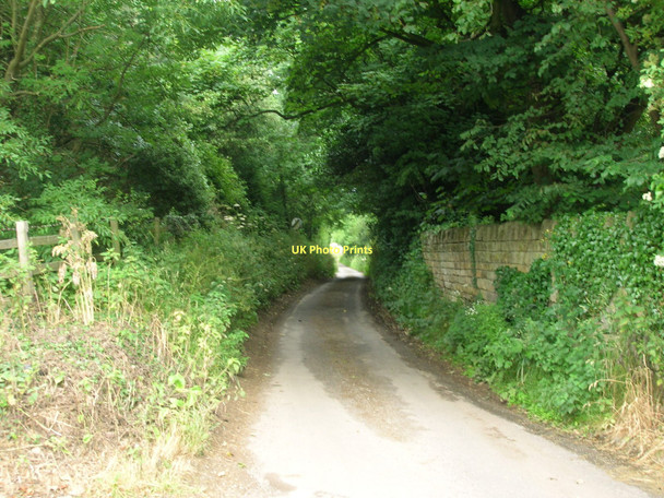 Photo 6"x4" Dunsley Lane towards Sandsend Dunsley\/NZ8511 c2011