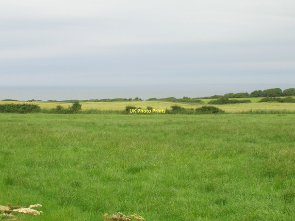Photo 6"x4" Farmland off Dunsley Lane Dunsley\/NZ8511 c2011