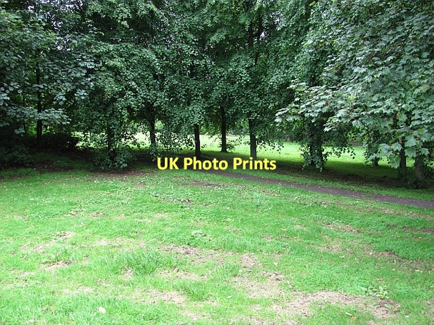 Photo 6"x4" Orchard Park, Carmyle Carmyle c2011