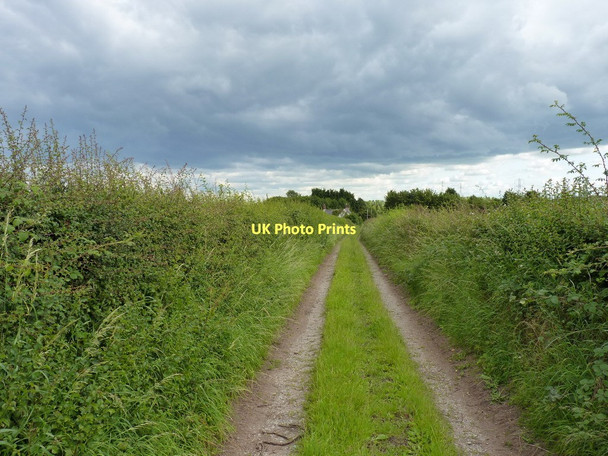 Photo 6"x4" Along the Staffordshire Way near Trescott Trescott c2011