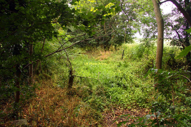 Photo 6"x4" The former Wilts & Berks Canal by Grove Park Drive Ardington Wick c2011