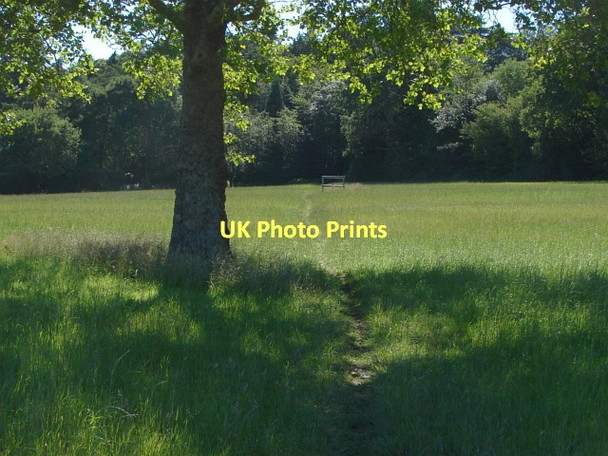 Photo 6"x4" Fields near Perry Hill Worplesdon c2011