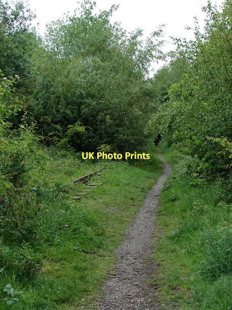 Photo 6"x4" Disused railway north of Bucknall, Stoke-on-Trent Abbey Hulton c2011