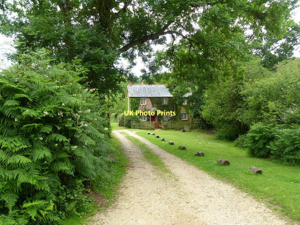 Photo 6"x4" Godshill, Brook Cottage Fordingbridge c2011