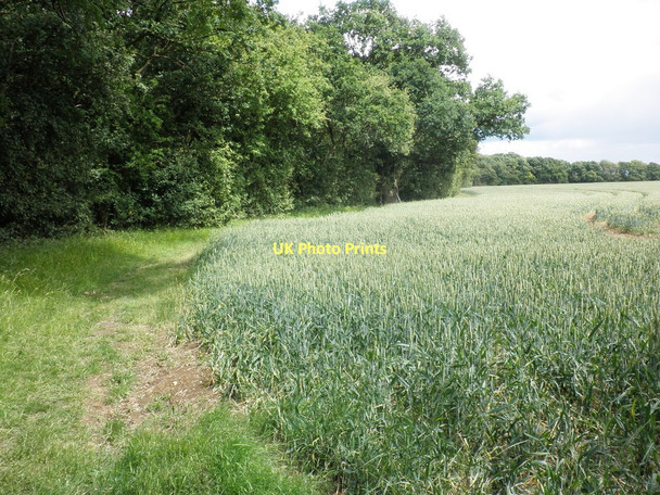 Photo 6"x4" Edge of Oldfield Grove Building End c2011