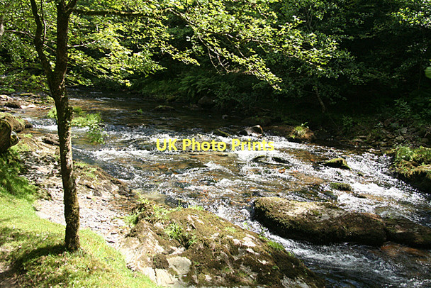 Photo 6"x4" Whitchurch: river Walkham Grenofen c2011