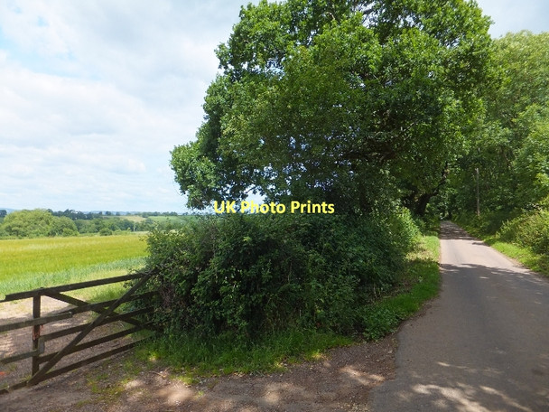 Photo 6"x4" Exe View Road and a field gate Hulham c2011