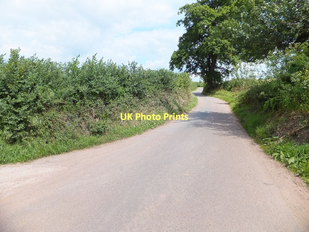 Photo 6"x4" Maer Lane Exmouth c2011