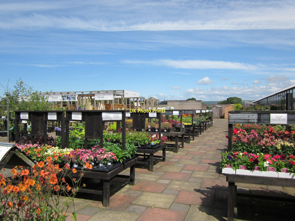 Photo 6"x4" Soleburn Garden Centre Leswalt c2011 P1