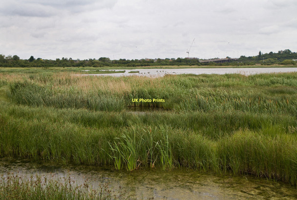 Photo 6"x4" Vange Marshes Vange c2011