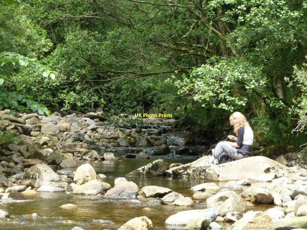 Photo 6"x4" Leck Beck in Springs Wood High Casterton c2011
