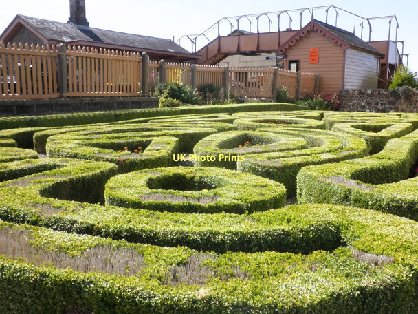 Photo 6"x4" Box topiary maze, outside Williton railway station Watchet c2011