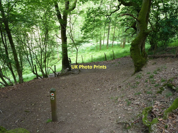 Photo 6"x4" Footpath at the northern end of Ragleth Hill Church Stretton c2011