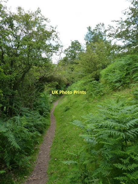 Photo 6"x4" Footpath around Hazler Hill Hazler c2011