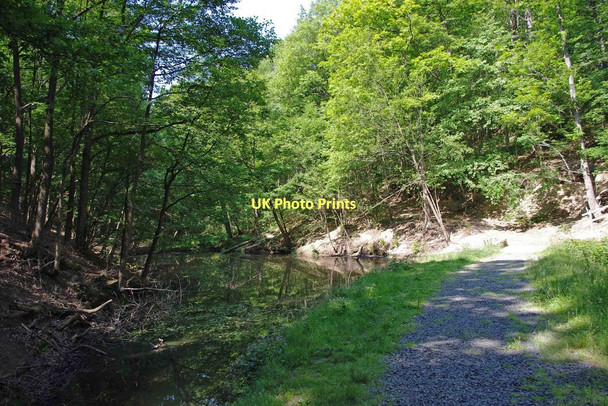 Photo 6"x4" Pond and track in the Wyre Forest near Bewdley Bewdley\/SO7875 c2011