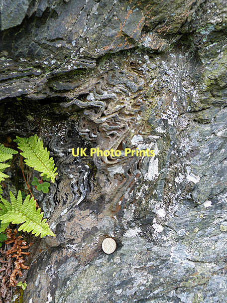 Photo 6"x4" In the Hinge of a Fold Glen Shee c2011
