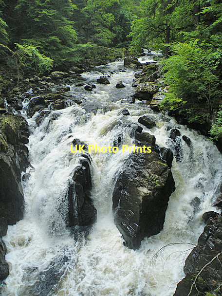 Photo 6"x4" Black Linn Inver\/NO0142 c2011