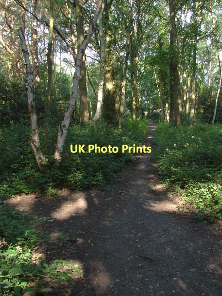 Photo 6"x4" Viggory Lane, Horsell Woking c2011