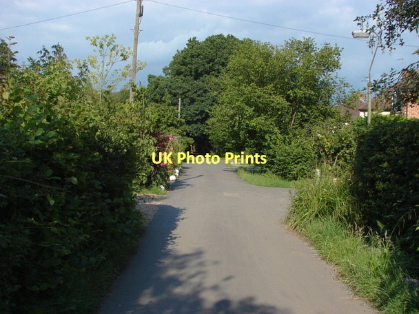 Photo 6"x4" Viggory Lane, Horsell Woking c2011