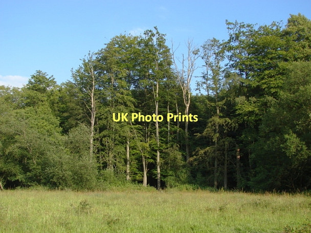 Photo 6"x4" Waterers Park Whitfield Court c2011