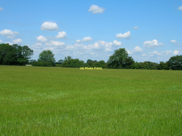 Photo 6"x4" Farmland near Newlands Farm Shipton\/SE5558 c2011