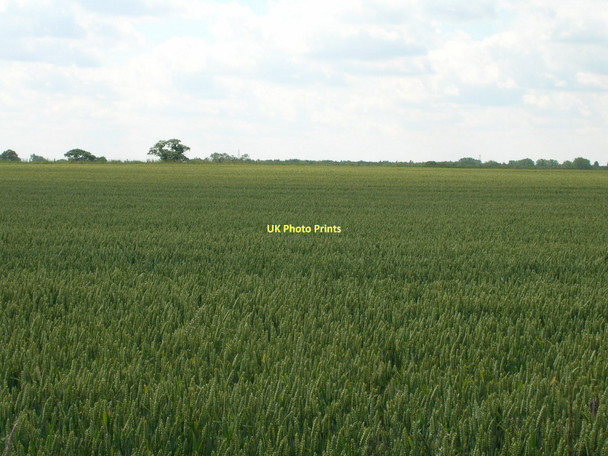 Photo 6"x4" Farmland near Beningbrough Beningbrough c2011