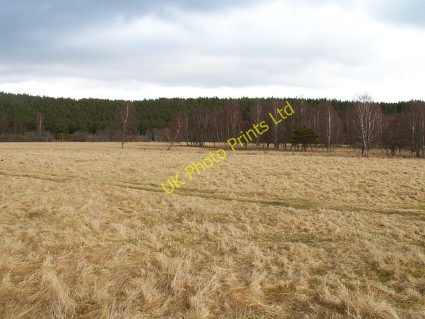 Photo 6"x4" Dulnain by Sluggan Sluggan c2006