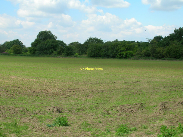 Photo 6"x4" Farmland, Hall Moor Aldwark\/SE4663 c2011