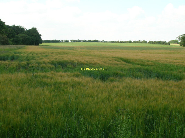 Photo 6"x4" Farmland off Straight Lane Aldwark\/SE4663 c2011