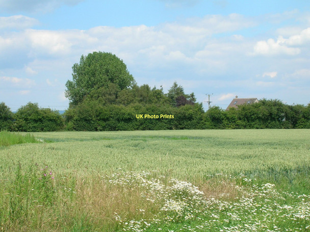 Photo 6"x4" Farmland off Moor Lane Tholthorpe c2011