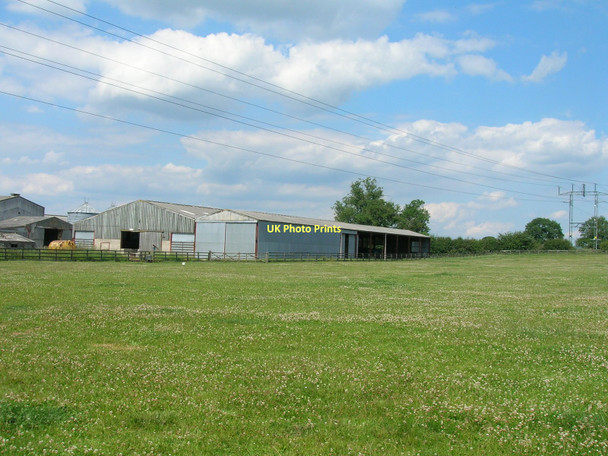 Photo 6"x4" West Moor Farm Raskelf c2011