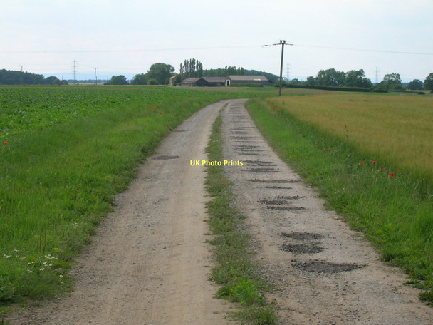 Photo 6"x4" Track to Lund Farm Alne Station c2011