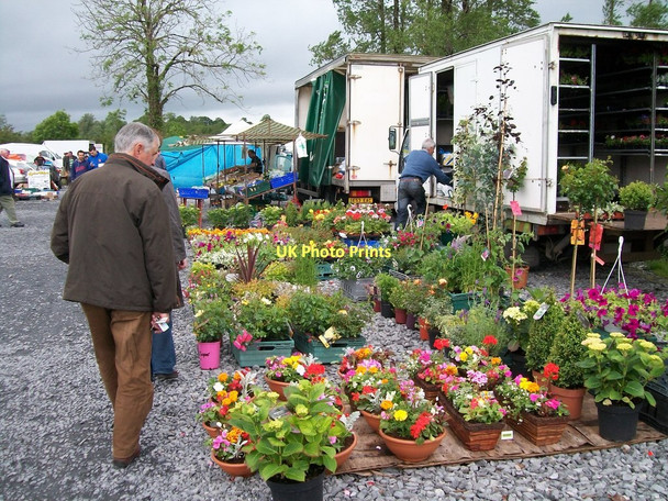 Photo 6"x4" Plant stall at Clogher Saturday Market, Co Fermanagh Redhills\/H4416 c2011