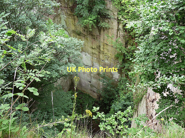 Photo 6"x4" Disused quarry near Grinshill Grinshill c2010
