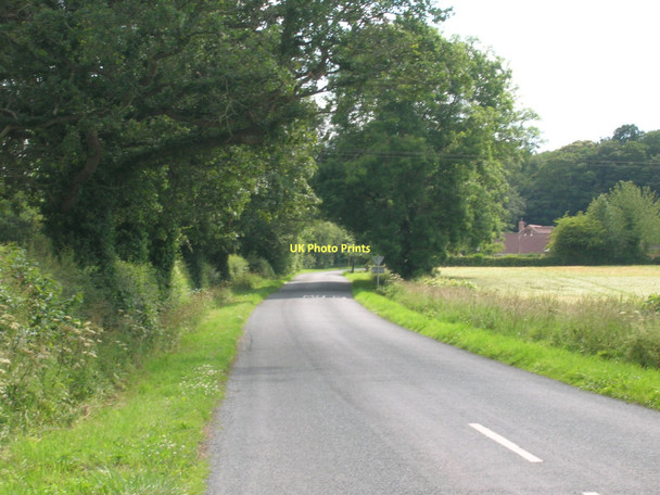 Photo 6"x4" Minor road towards Youlton Alne c2011