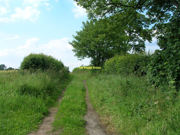 Photo 6"x4" Track (footpath) towards Alne Tollerton\/SE5164 c2011