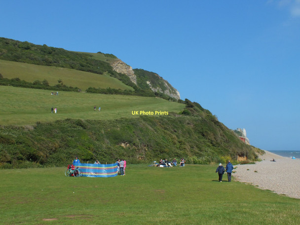 Photo 6"x4" The cliffs at Branscombe Vicarage c2011