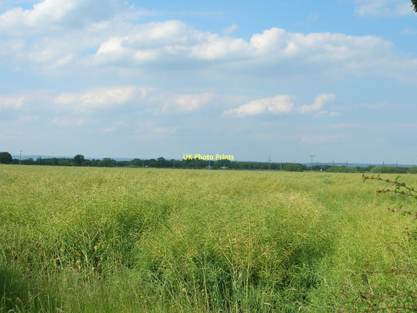 Photo 6"x4" Farmland near Fir Tree Farm Newton-on-Ouse c2011