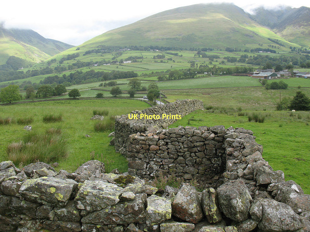 Photo 6"x4" Old sheepfold  Birkett Mire c2011