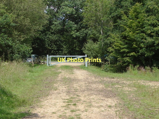 Photo 6"x4" Botany Bay Highstreet Green\/SU9835 c2011