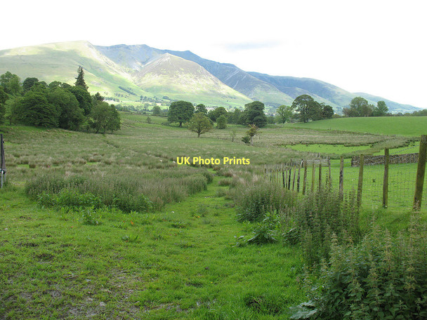 Photo 6"x4" Footpath at Row End Birkett Mire c2011