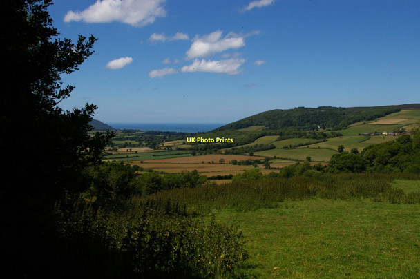 Photo 6"x4" Looking northwest from the bridleway into Tivington Plantation Cowbridge\/SS9542 c2011