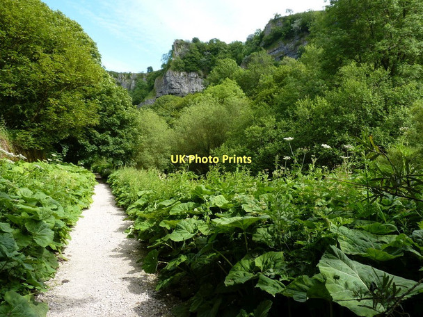 Photo 6"x4" The Monsal Trail in Chee Dale Blackwell\/SK1272 c2011