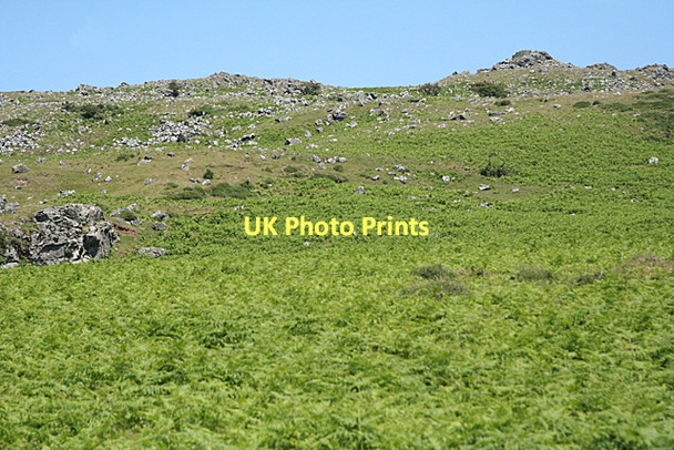 Photo 6"x4" Peter Tavy: beneath Cox Tor Merrivale\/SX5475 c2011