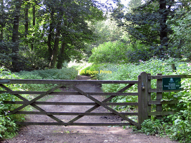 Photo 6"x4" Wildlife conservation area, Harewood Estate Harewood\/SE3245 c2011