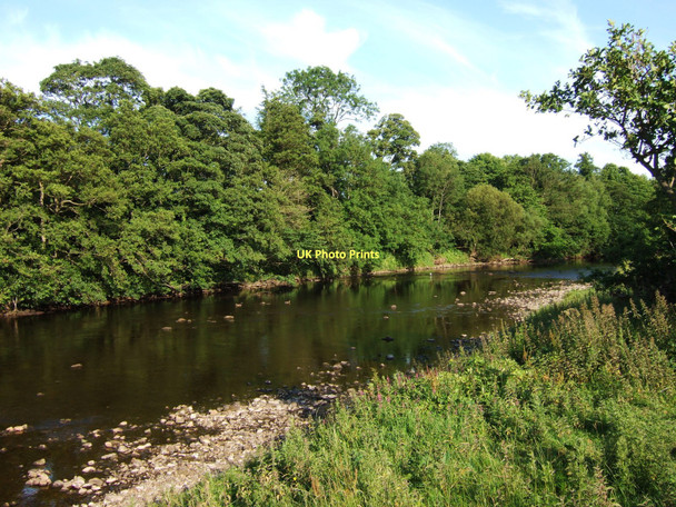 Photo 6"x4" The River Ure looking downstream from above Masham Masham c2011
